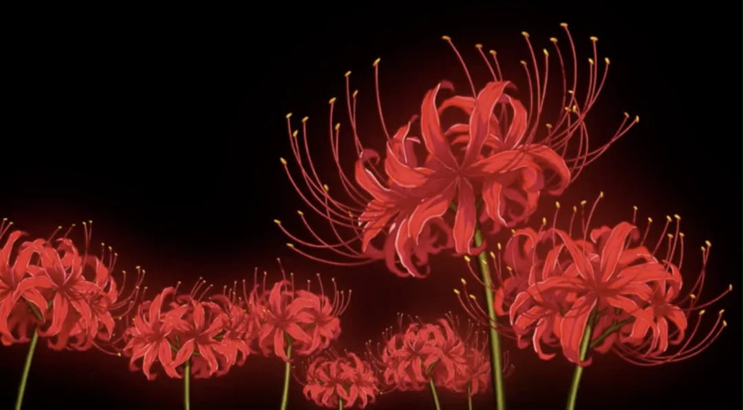 Red spider lilies glowing in the dark